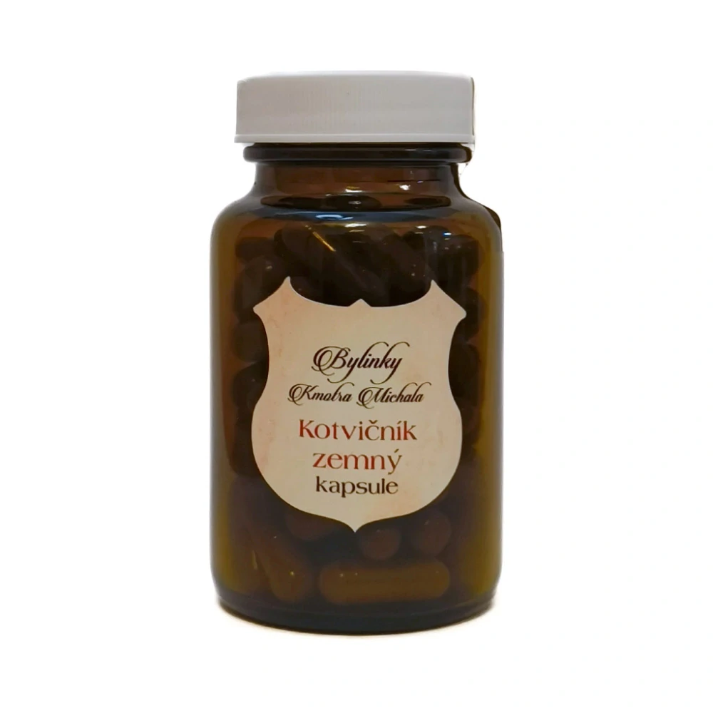 Kotvičník zemný, kapsule.