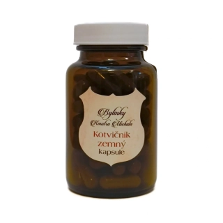Kotvičník zemný, kapsule.